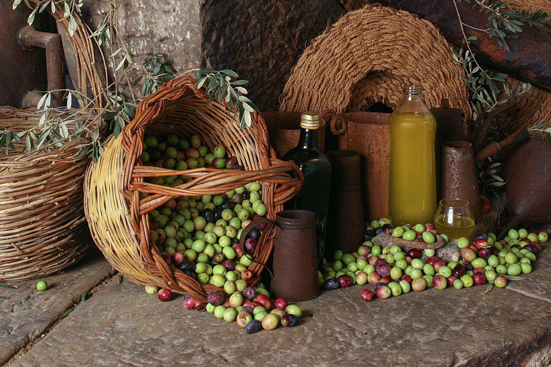 Wine & Olive Oil Tastings